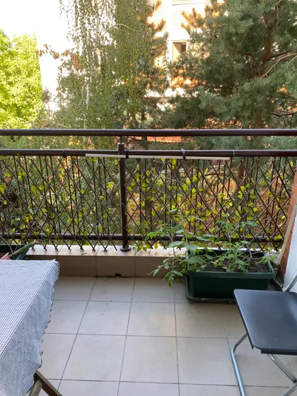Ulofa Palmea 8B | 4zida.rs