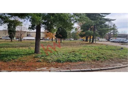 Milice Milojković | 4zida.rs