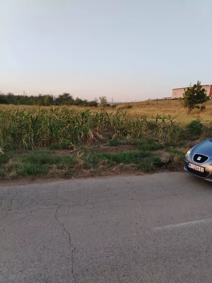 Donja Toponica | 4zida.rs
