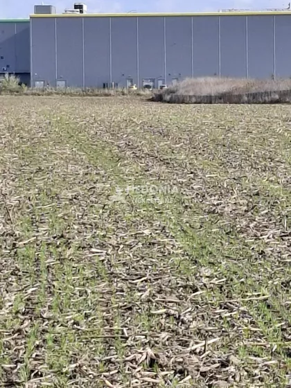 Blok 53 - Kvantaš | 4zida.rs