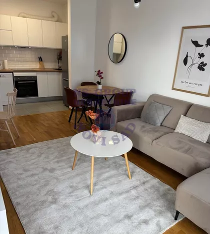 Cara Dušana | 4zida.rs