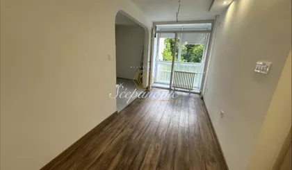 Detelinara | 4zida.rs