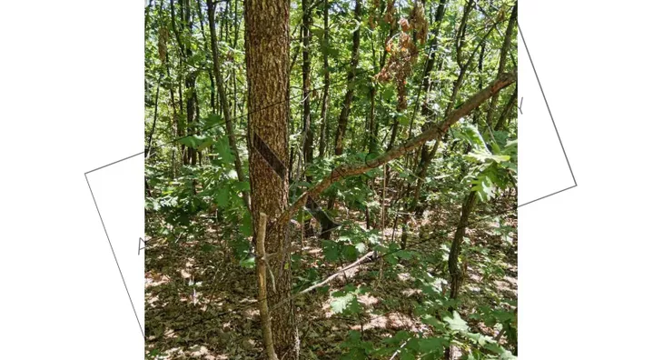 Poljoprivredno zemljište | 4zida