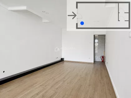 Darvinova pošta | 4zida.rs