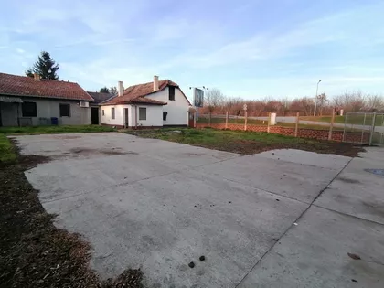 Bajnat | 4zida.rs