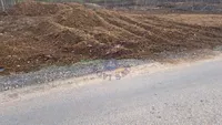 Poljoprivredno zemljište | 4zida