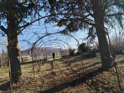 Despota Stevana Lazarevića | 4zida.rs