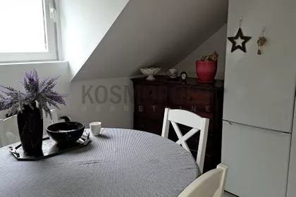 Mile Dimić | 4zida.rs