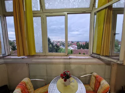 Arčibalda Rajsa | 4zida.rs