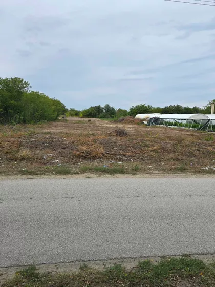 Pokret Nesvrstanih | 4zida.rs