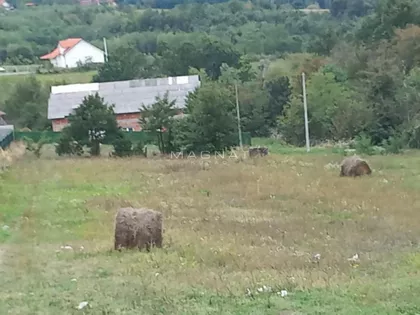 Despota Stevana Lazarevića | 4zida.rs