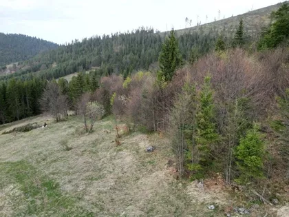 Zlatibor | 4zida.rs