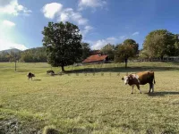 Konjuša , Okolne lokacije, Knić | 4zida.rs