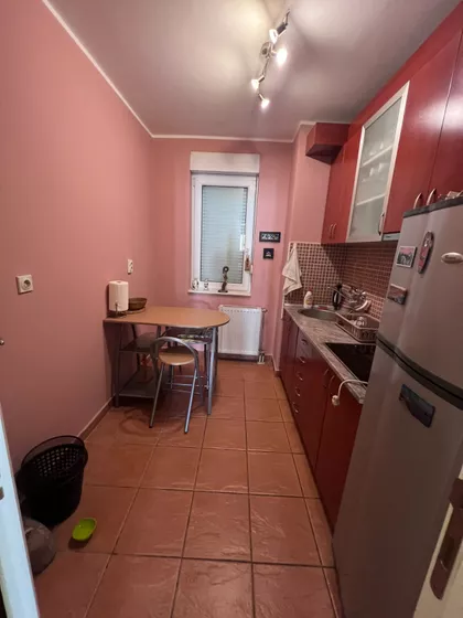 Rumenačka | 4zida.rs