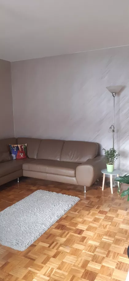 Dr Ivan Ribar | 4zida.rs