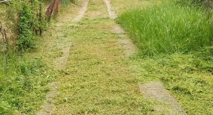 Poljoprivredno zemljište | 4zida