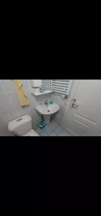 Žarko Zrenjanin | 4zida.rs
