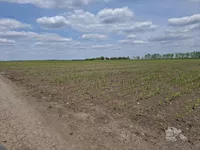 Poljoprivredno zemljište | 4zida