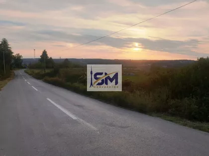 Duje Damnjanovića | 4zida.rs