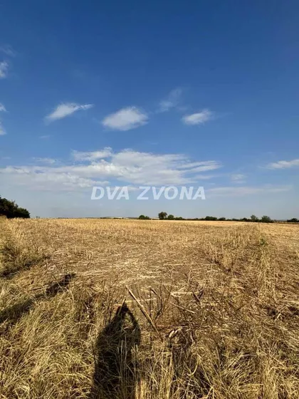 Čortanovci | 4zida.rs
