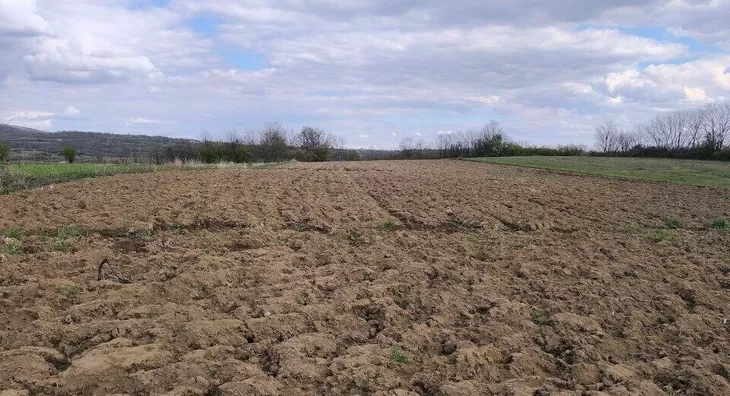 Poljoprivredno zemljište | 4zida