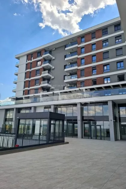 Miodraga Vlajića Šuke | 4zida.rs