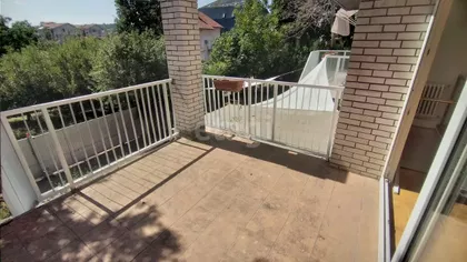 Ulofa Palmea | 4zida.rs