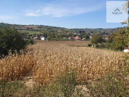 Vrdnik | 4zida.rs