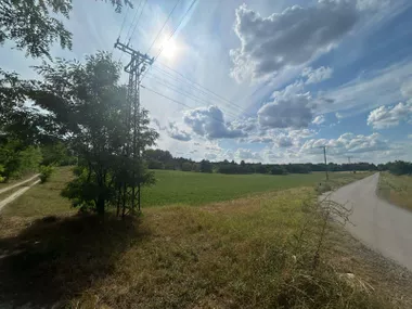 Palić