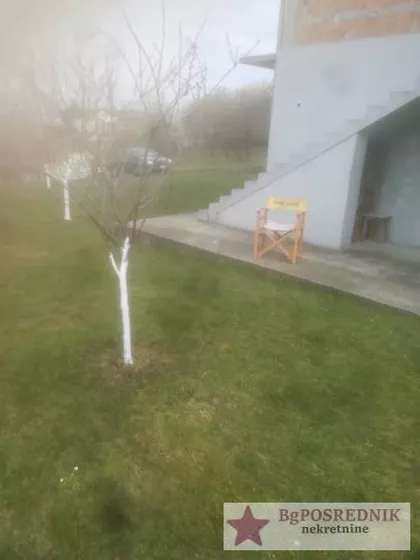 Vase Čarapića | 4zida.rs