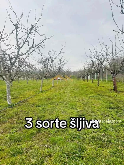 Okolne lokacije | 4zida.rs
