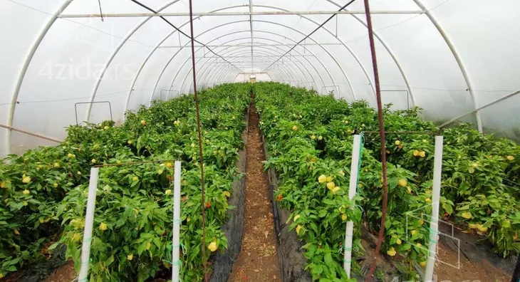 Poljoprivredno zemljište | 4zida