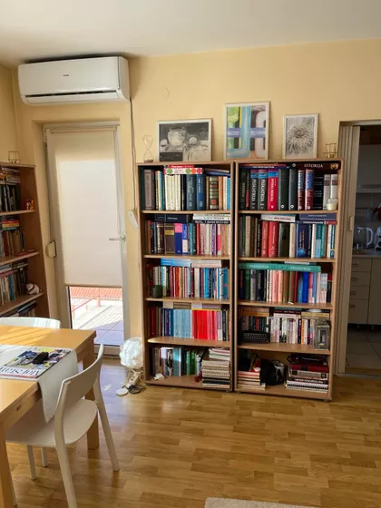 Žike Popovića | 4zida.rs