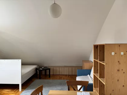 Roze Luksemburg | 4zida.rs