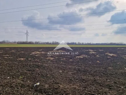 Zeleno Polje | 4zida.rs