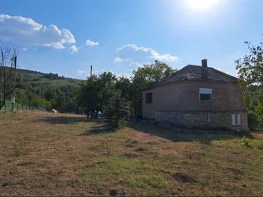 Janka Katića