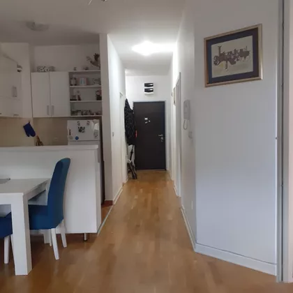 VOJVODE MICKA KRSTICA | 4zida.rs