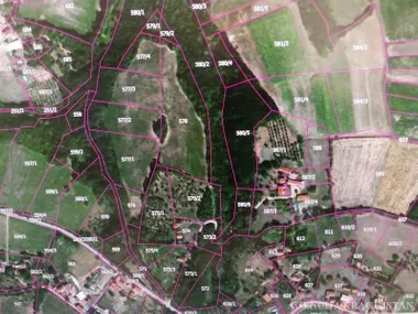 Knić