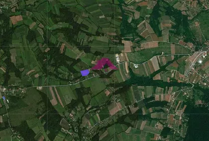 Ljubomira Ivkovića Šuce | 4zida.rs