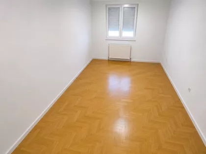 Teodora Pavlovića | 4zida.rs
