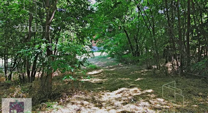 Plac | 4zida