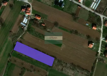 Vinorača | 4zida.rs