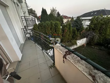 Dijane Budisavljević | 4zida.rs