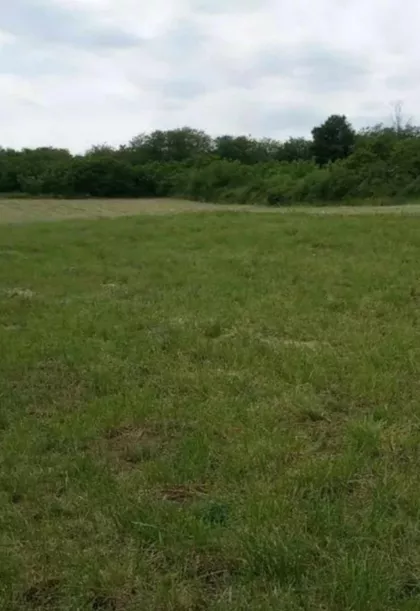 Mudrakovac | 4zida.rs