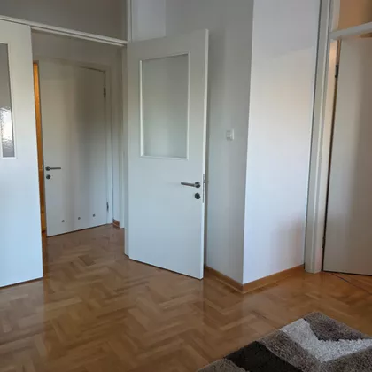 Stepa Stepanović | 4zida.rs