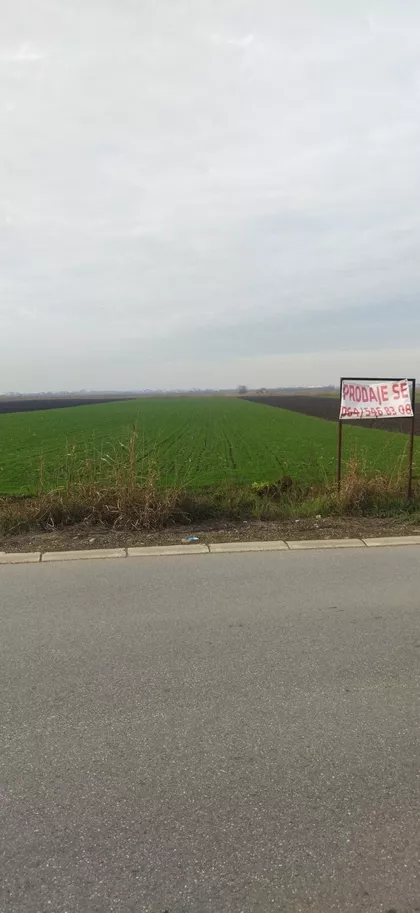 Batajnica | 4zida.rs