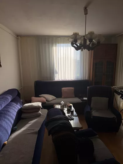 Ruža Šulman | 4zida.rs