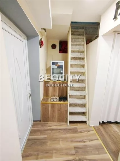 Arse Teodorovića | 4zida.rs