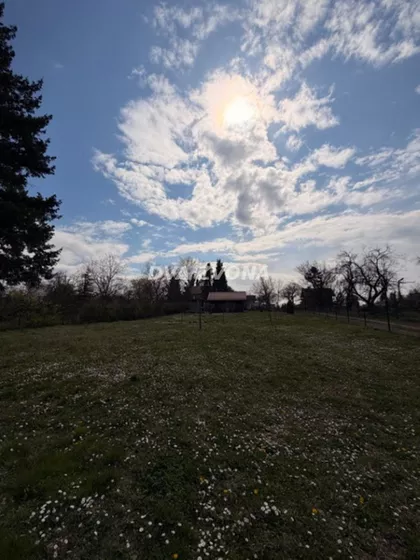 Čortanovci | 4zida.rs