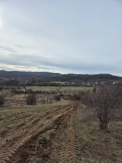 Save Kovačevića | 4zida.rs